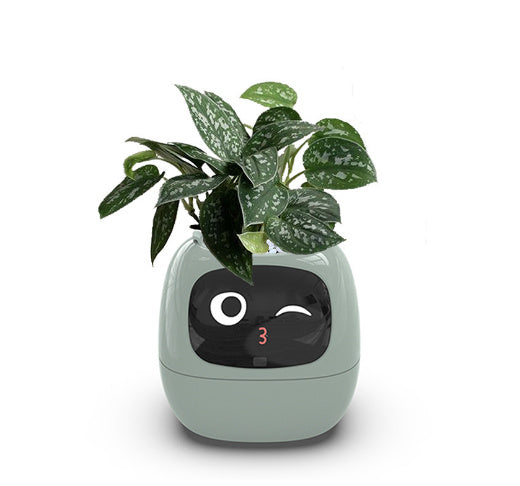 PetPal Smart Planter — Raise Your Plants with Personality!