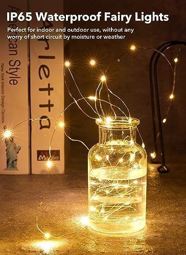 Fairy Lights Waterproof Silver Wire Firefly Starry Moon Lights