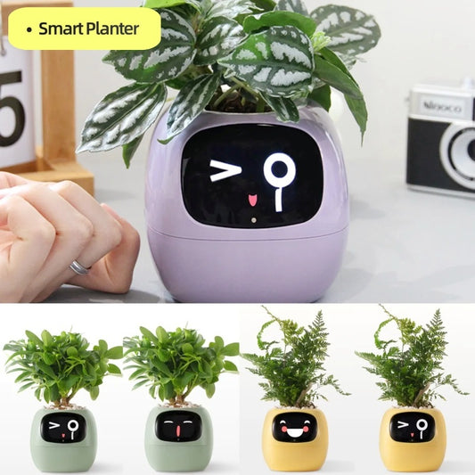 PetPal Smart Planter — Raise Your Plants with Personality!