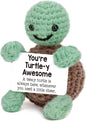 Mini Funny Turtle Christmas Birthday Gifts for Women Men Grandkids.